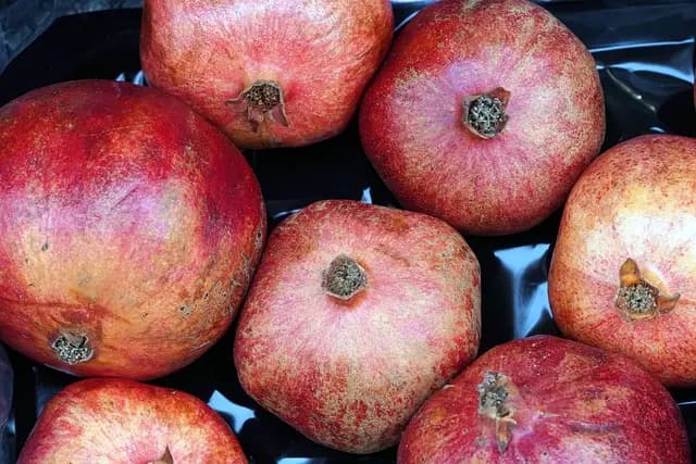 10 Hábitos Saludables que Debes Incorporar a tu Rutina Diaria