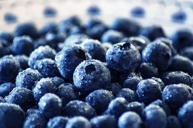 Cómo Mejorar la Alimentación en la Ética del Bienestar