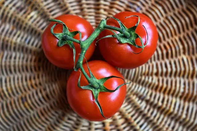 7 Estrategias para Establecer Hábitos Saludables Duraderos