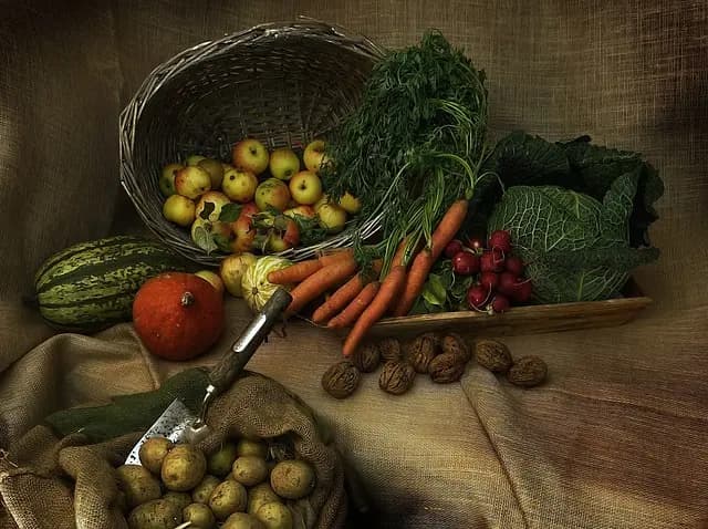 Diferencias entre Alimentos Orgánicos y Convencionales