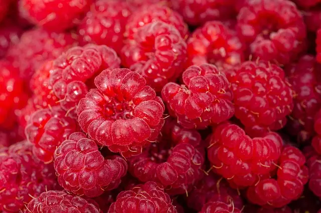 7 Estrategias para Mejorar tus Hábitos de Alimentación