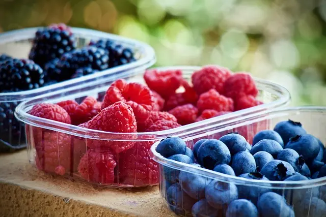 Los Mejores Hábitos para Mejorar tu Metabolismo
