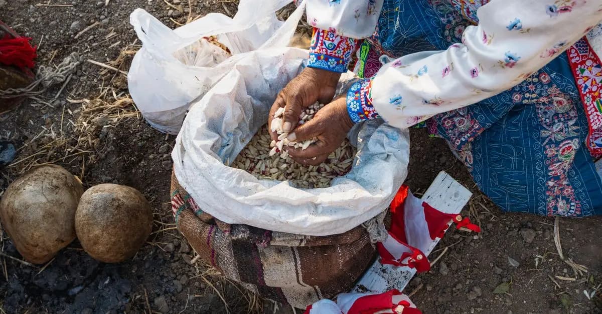 Cómo Fomentar Hábitos Saludables en tu Hogar
