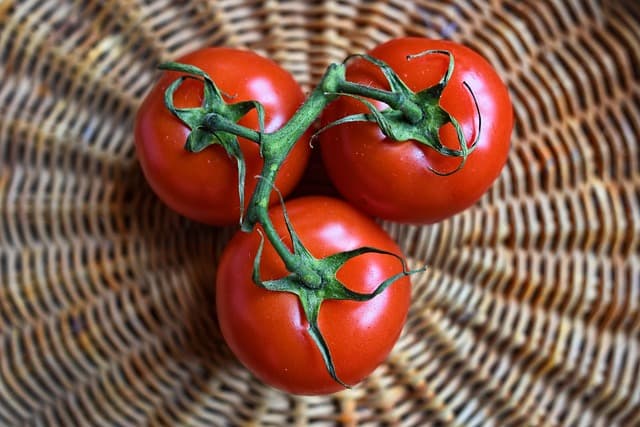 10 Errores Comunes al Establecer Hábitos Saludables