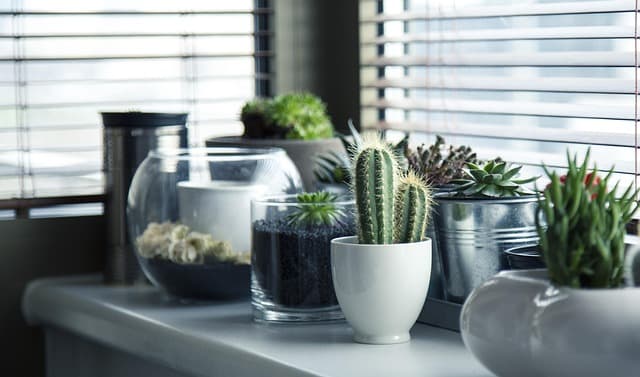 Cómo Crear un Ambiente Saludable en Casa para la Familia