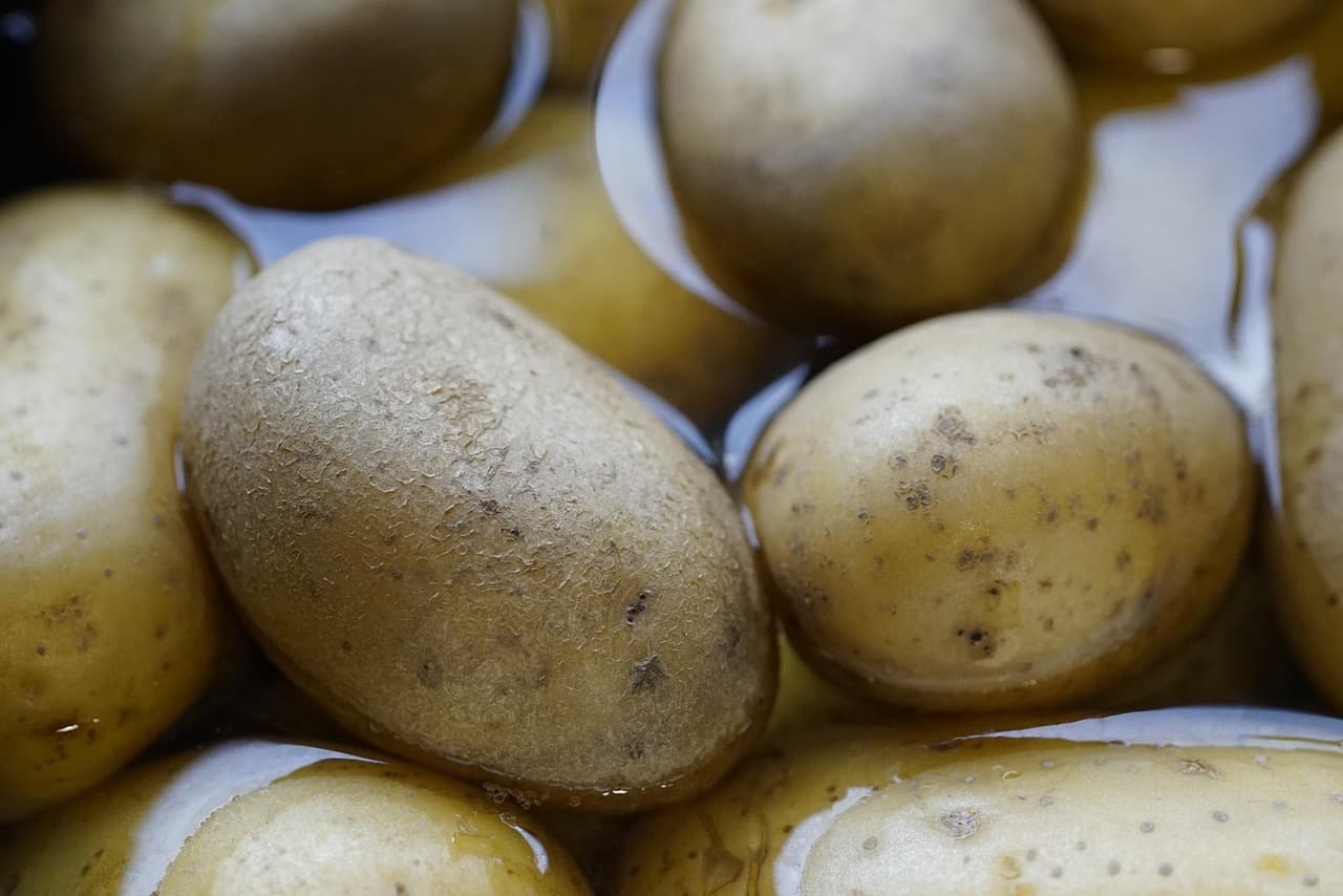 Cómo Implementar Hábitos Saludables en Tu Vida Diaria